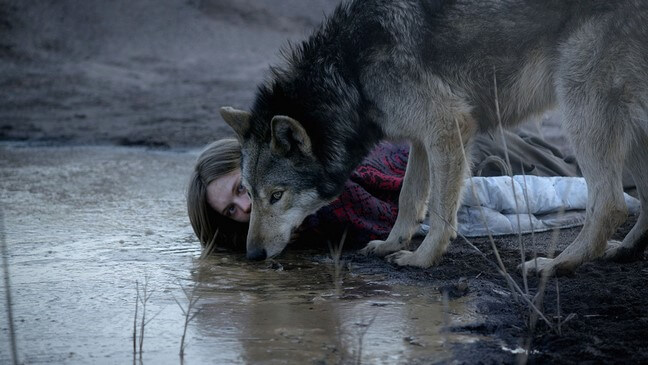 wild woman wolf romance
